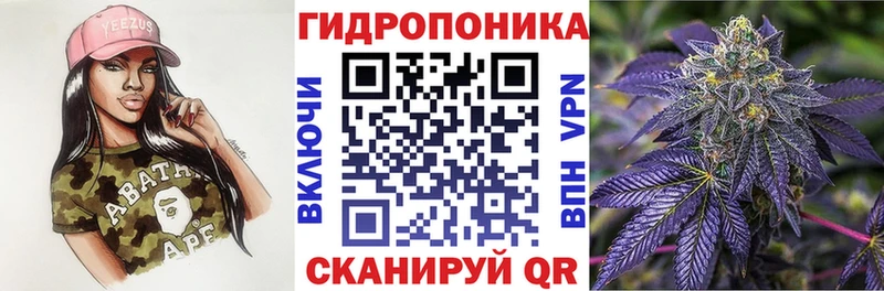 ссылка на мегу маркетплейс  Петровск-Забайкальский  Конопля MAZAR  где продают  